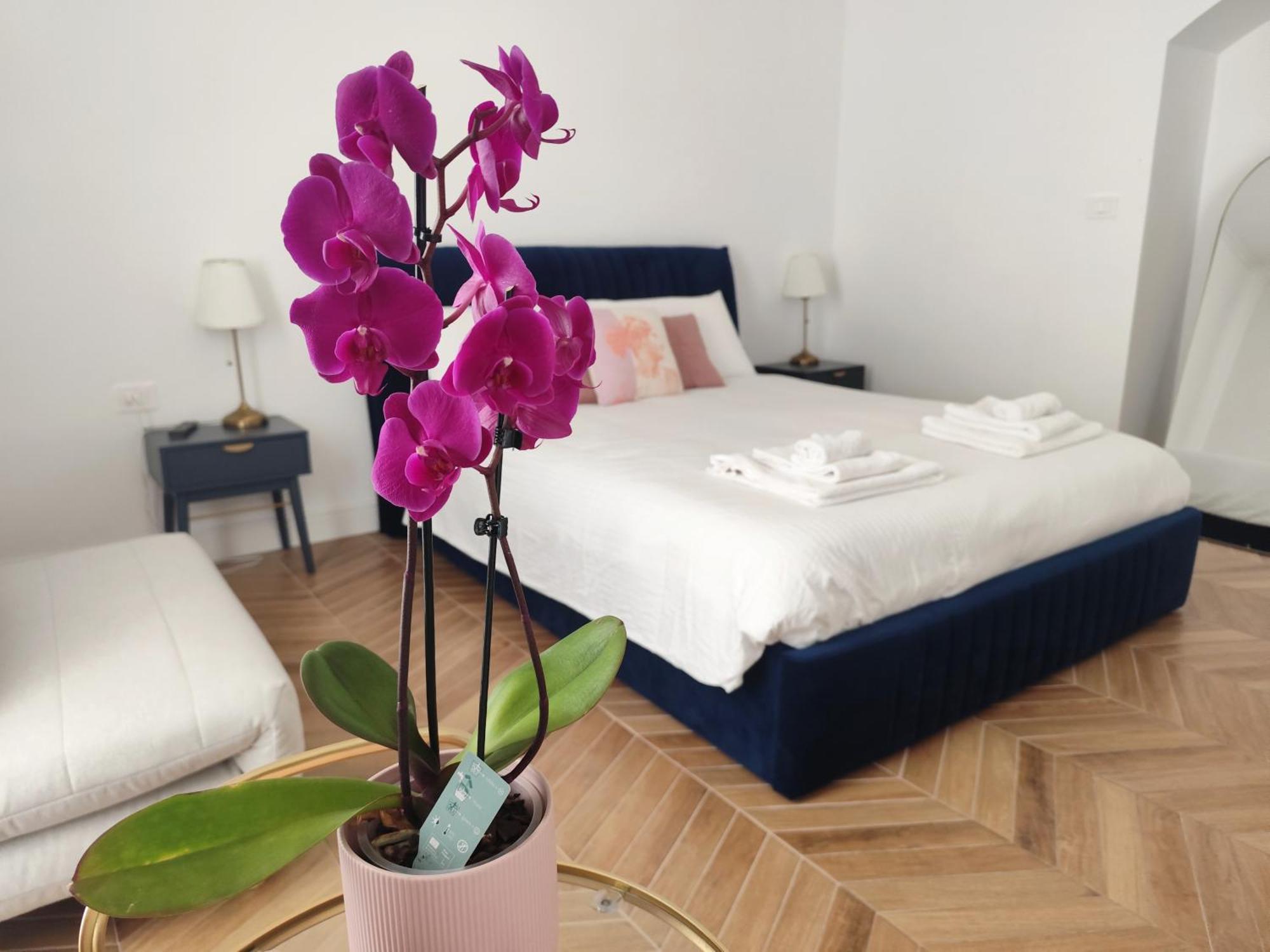 Vatican Eco Suite Rome Bagian luar foto